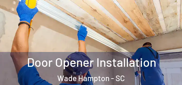 Door Opener Installation Wade Hampton - SC