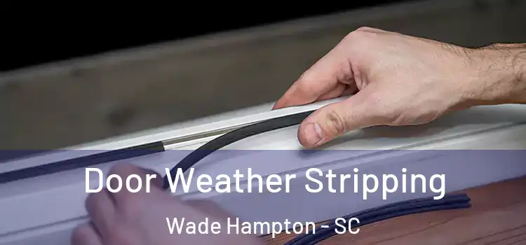 Door Weather Stripping Wade Hampton - SC
