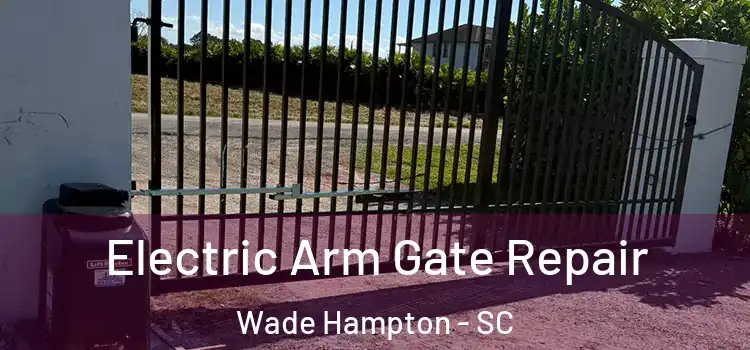  Electric Arm Gate Repair Wade Hampton - SC