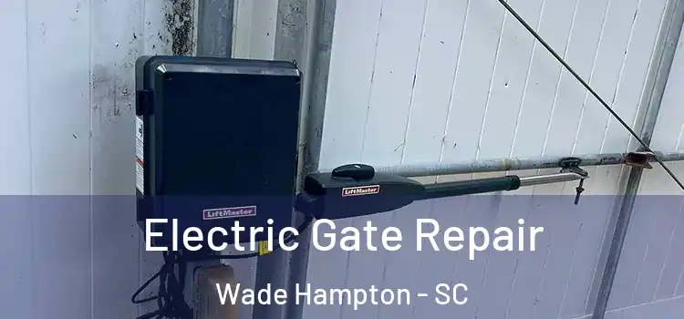 Electric Gate Repair Wade Hampton - SC