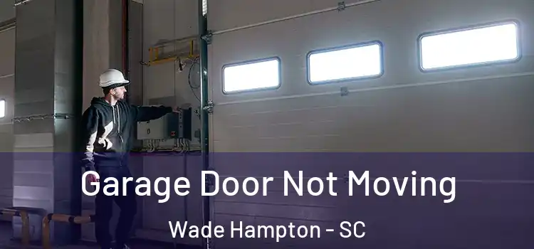  Garage Door Not Moving Wade Hampton - SC