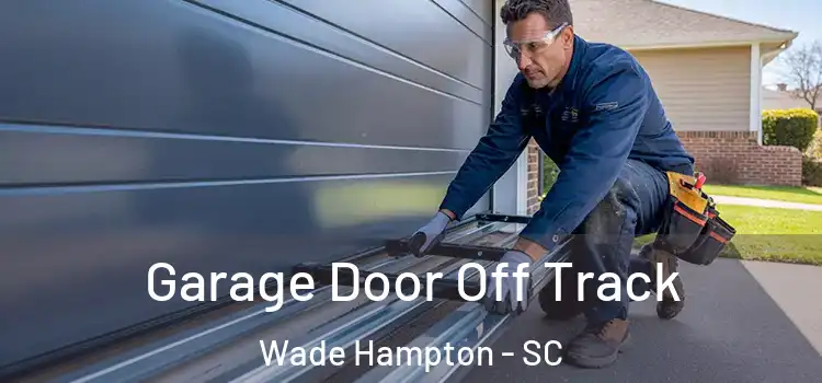  Garage Door Off Track Wade Hampton - SC
