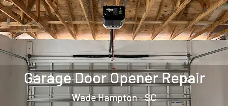  Garage Door Opener Repair Wade Hampton - SC