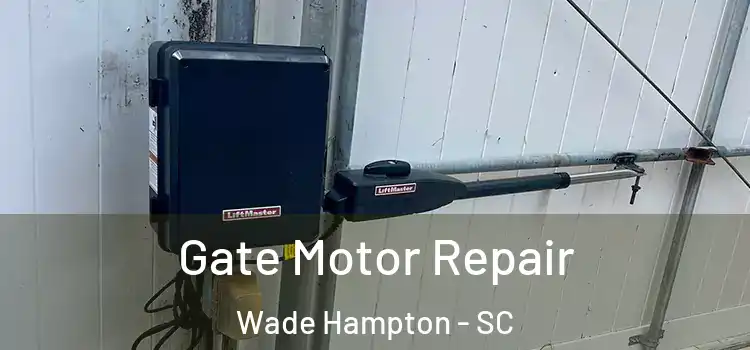 Gate Motor Repair Wade Hampton - SC