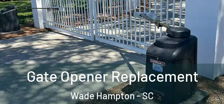  Gate Opener Replacement Wade Hampton - SC