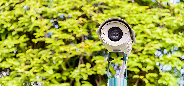 Advanced Surveillance Solutions for Every Need in Wade Hampton