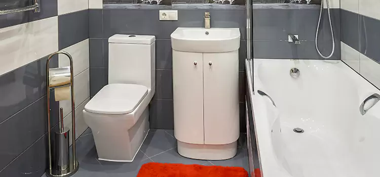 Hansgrohe Shaving Mirror Wade Hampton