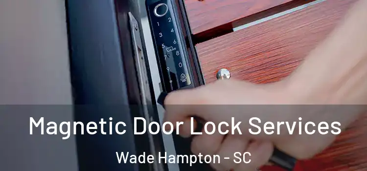  Magnetic Door Lock Services Wade Hampton - SC