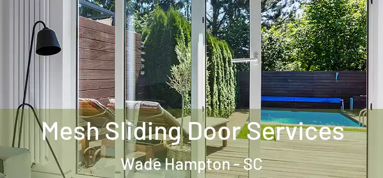 Mesh Sliding Door Services Wade Hampton - SC